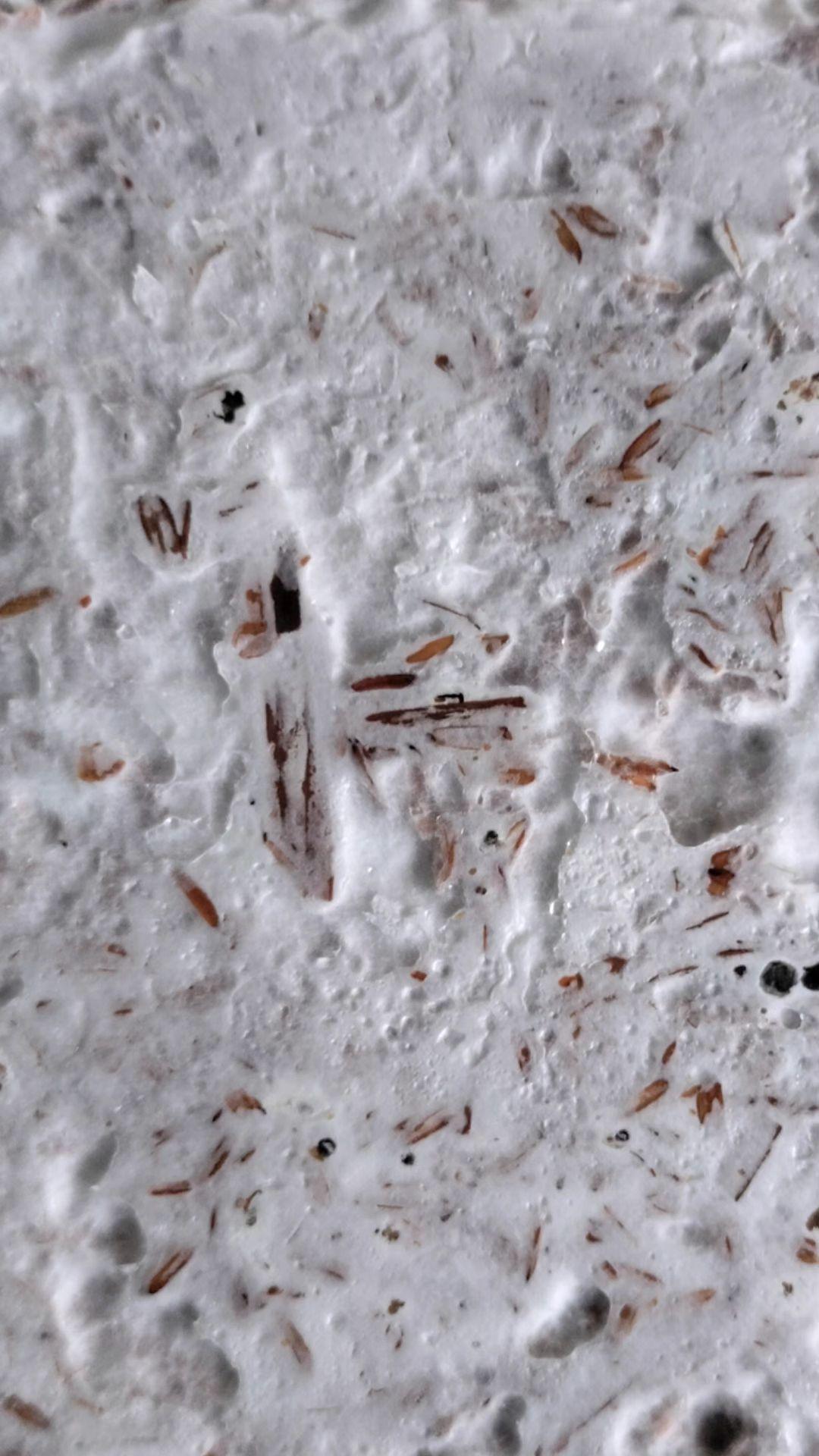 Close-up view of a pale mycelium composite with pieces of brown plant substrate visible through the fungal matrix